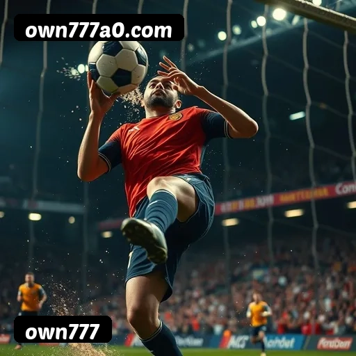 Comparação APP mobile vs versão web da own777