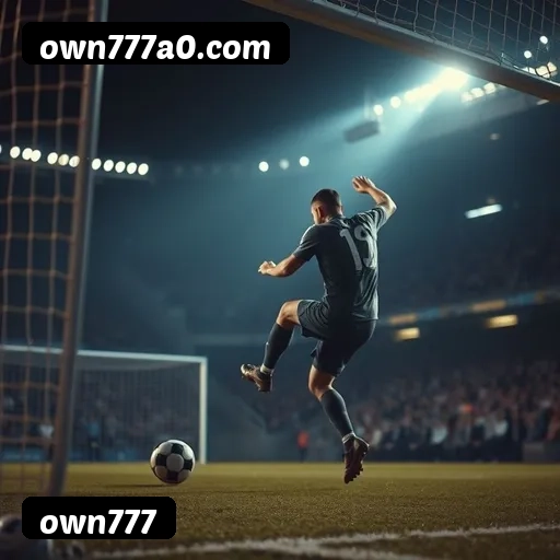 Estatísticas de bônus da own777 em São Paulo, Rio de Janeiro e Brasília